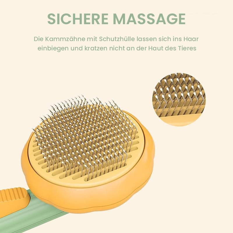 🔥🔥😽Kürbis Kammbürste für Haustiere♧