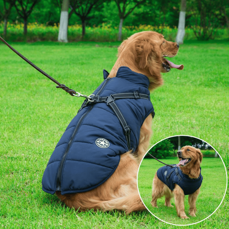 🎄Winterwarme wasserdichte Hundejacke mit Geschirr