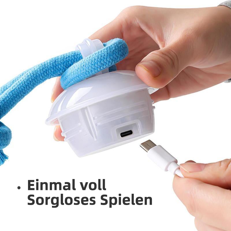 Hunde mit Bewegungsaktivierung | Aktiver Rollball für Katzen und Hunde