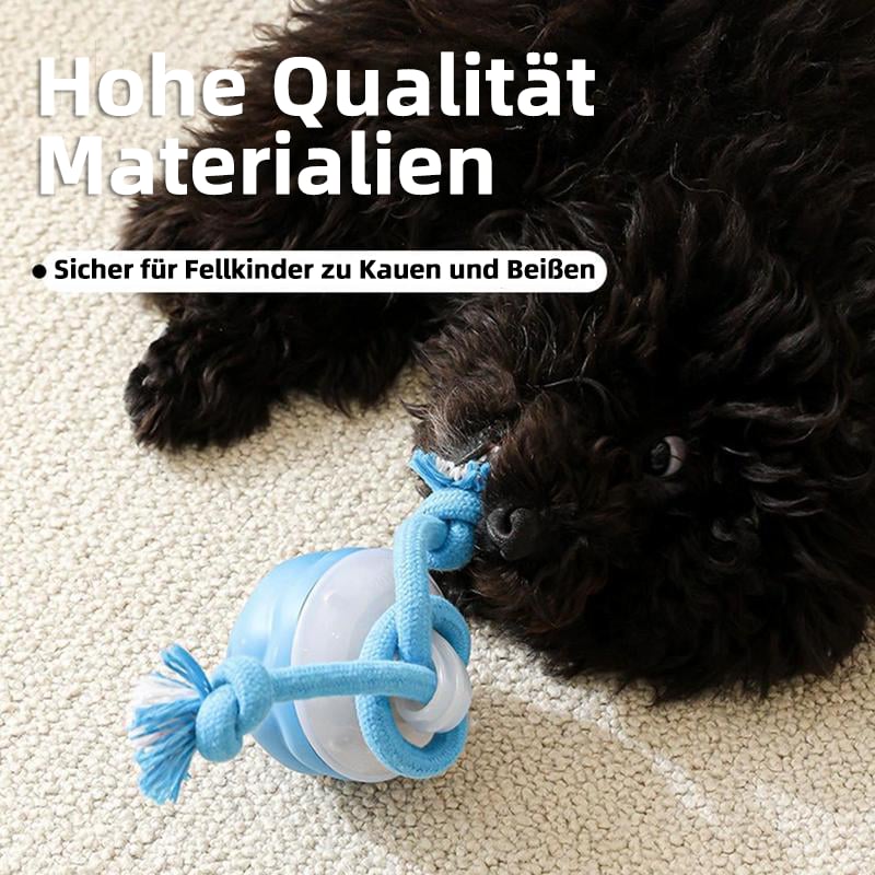 Hunde mit Bewegungsaktivierung | Aktiver Rollball für Katzen und Hunde