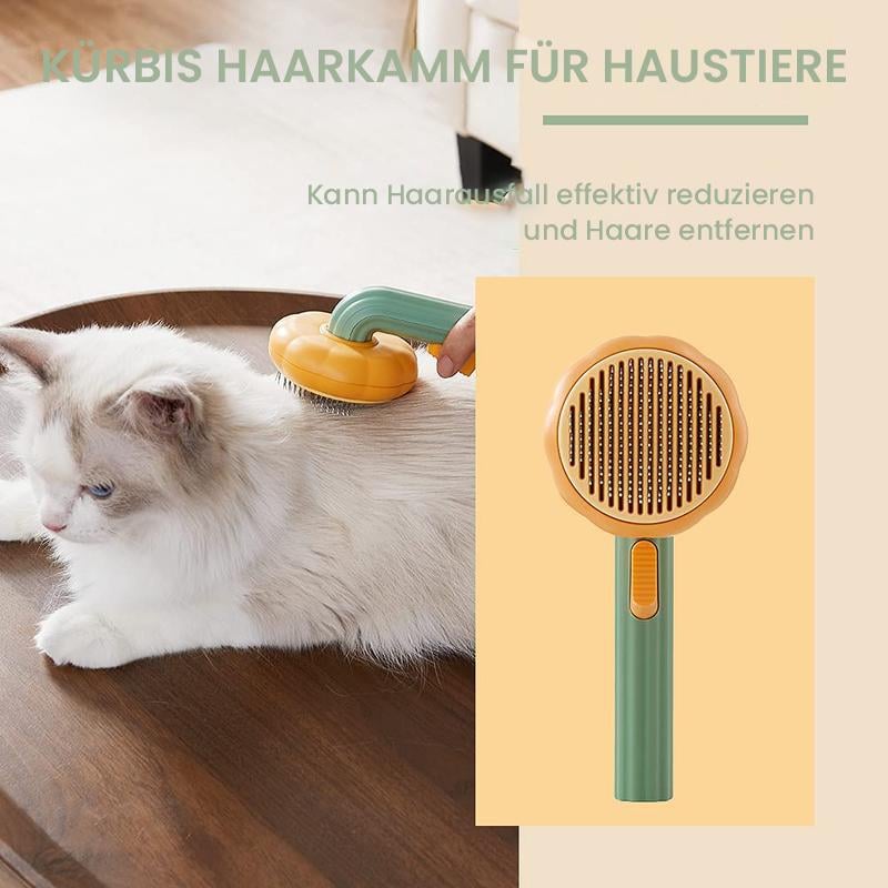 🔥🔥😽Kürbis Kammbürste für Haustiere♧