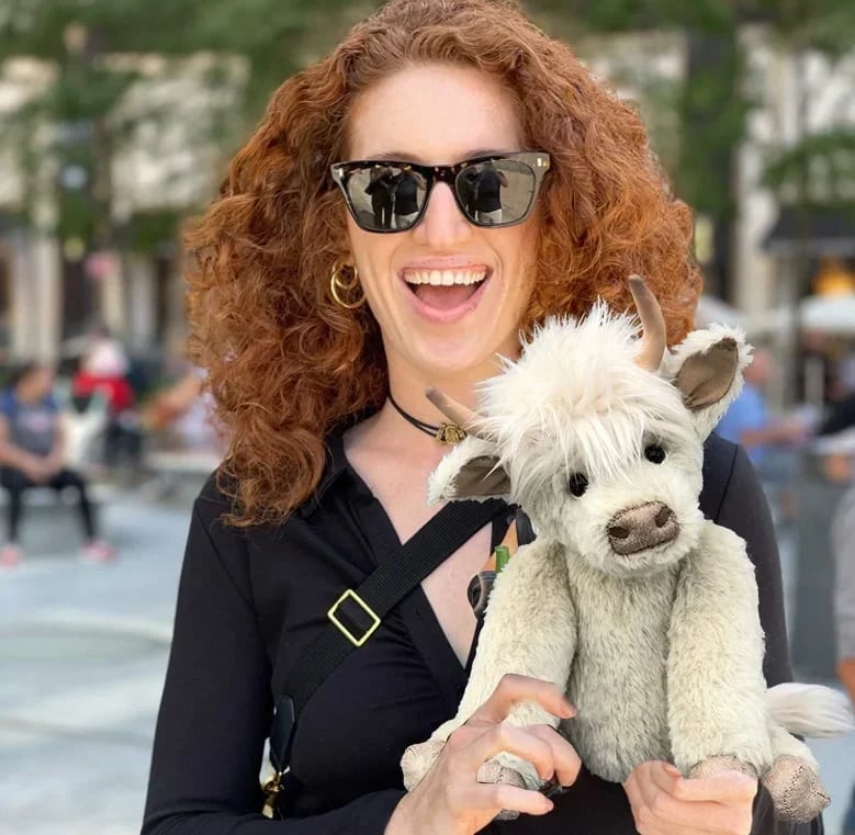 👍 Schottische handgefertigte Hochlandrinder