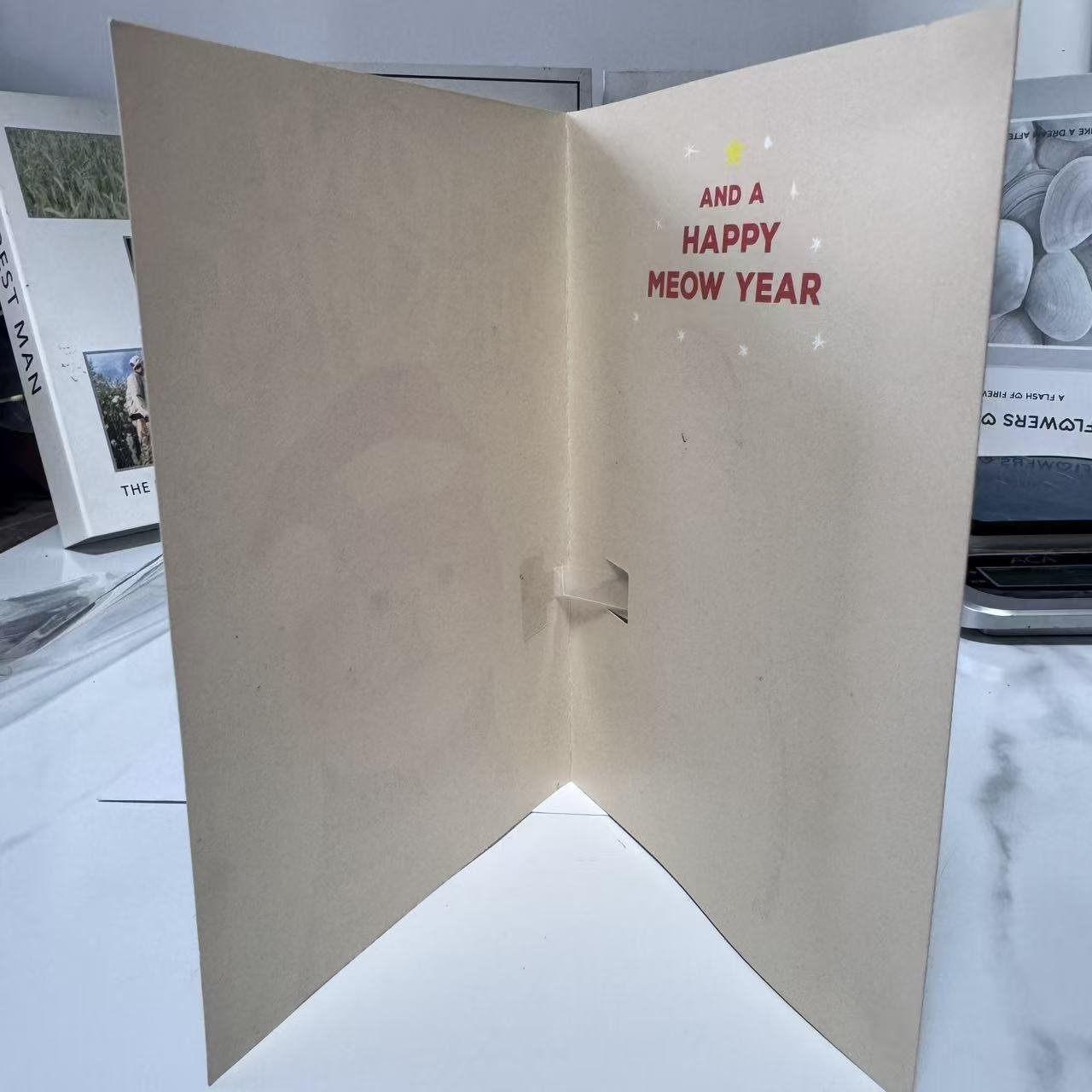 🐱Endlose Miau-Weihnachtskarte mit Glitzer