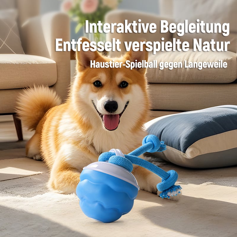 Hunde mit Bewegungsaktivierung | Aktiver Rollball für Katzen und Hunde
