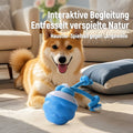 Hunde mit Bewegungsaktivierung | Aktiver Rollball für Katzen und Hunde