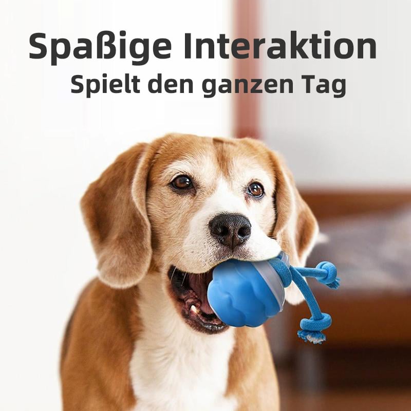 Hunde mit Bewegungsaktivierung | Aktiver Rollball für Katzen und Hunde