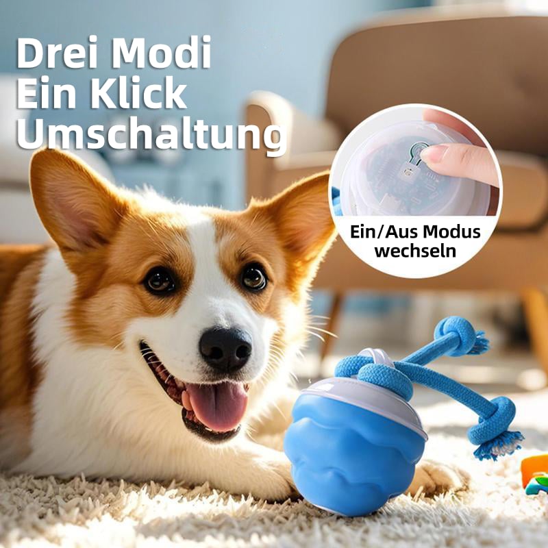 Hunde mit Bewegungsaktivierung | Aktiver Rollball für Katzen und Hunde