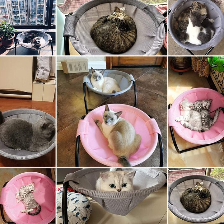 Bodenkatzen-Hängematte – mit Ständer