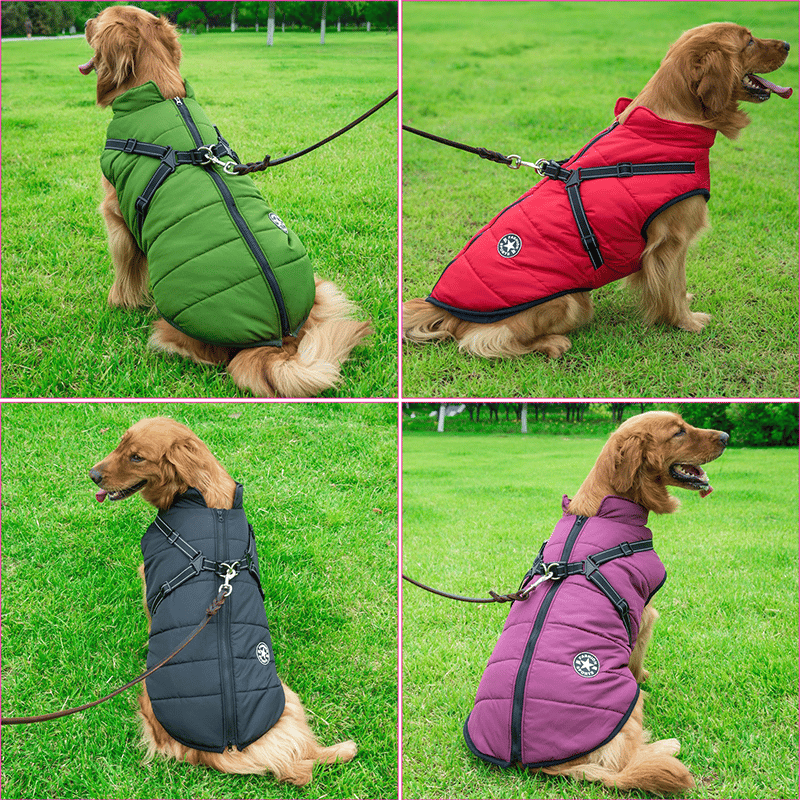 🎁🎄Winter Warm Haustier Hund Wasserdichte Jacke mit Geschirr🐩