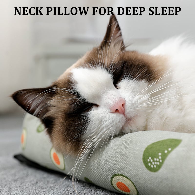 🔥Haustier-Eis-Pad-Matte