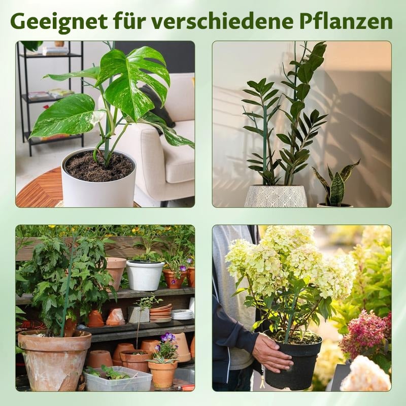 💕💖🌿 5er-Pack Pflanzenstützstäbe – Ideal für Stabilität und Wachstum deiner Pflanzen