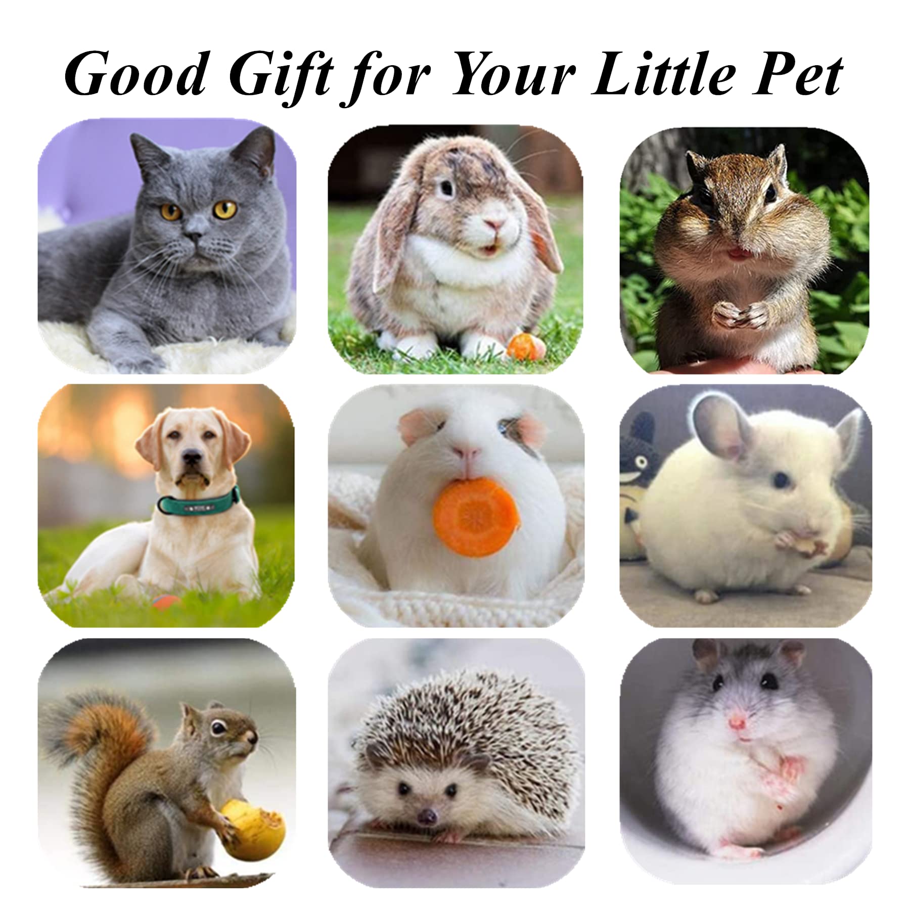 Natürliches Silvervine Stick-Kauspielzeug für Katzen