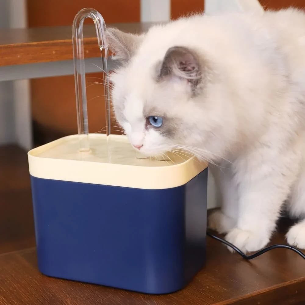 Cat Wasserspender💦Sicheres Material für das sauberste Wasser