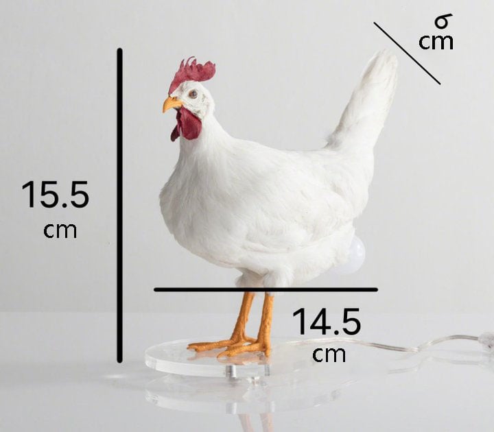 Diese Taxidermy-Hühnereilampe gibt es und wir lieben sie widerwillig