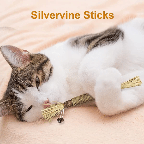 Natürliches Silvervine Stick-Kauspielzeug für Katzen