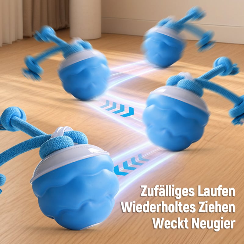 Hunde mit Bewegungsaktivierung | Aktiver Rollball für Katzen und Hunde